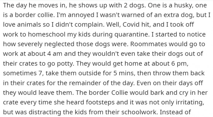 But they were blindsided by how many pets they were actually going to allow into their home