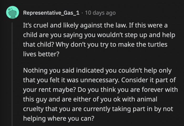 OP's gratefulness doesn't have to extend to becoming the primary caregiver of seven turtles. Based on the story, she already does her fair share around the house, and the most she can do is raise her concerns about the condition of the animals.
