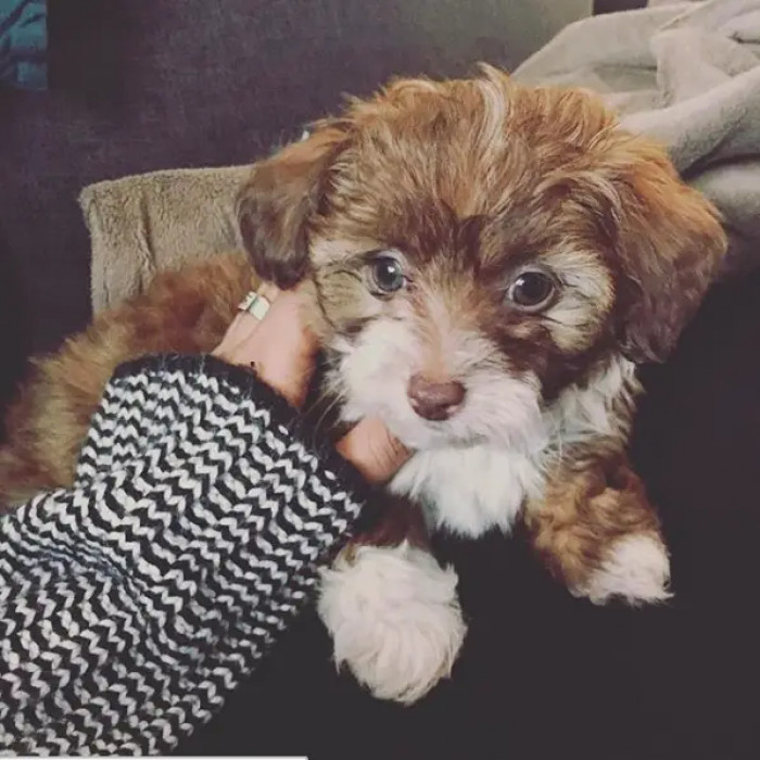 18. His face is so cute I could spend all day snuggling with him