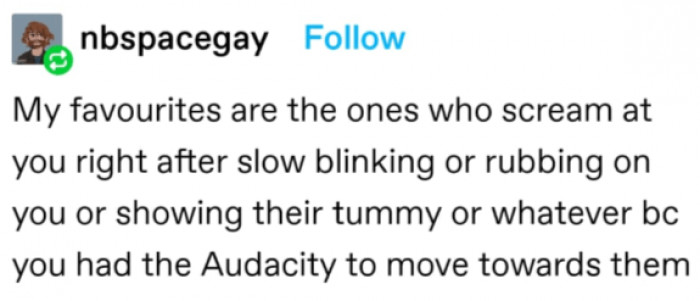 7. You took it too far, human...