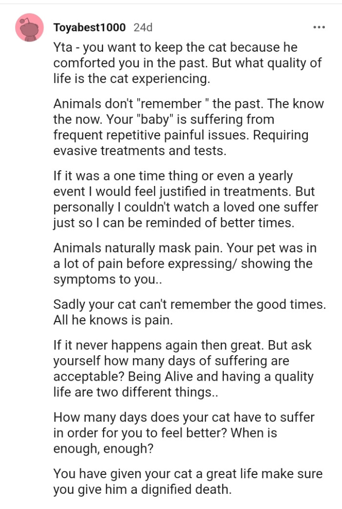 man-gets-angry-at-his-mother-for-telling-him-to-put-his-sick-cat-to