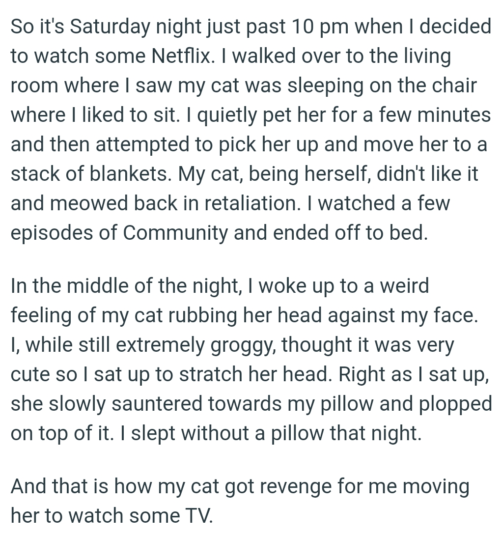 The OP attempted to pick the cat up and move her to a stack of blankets