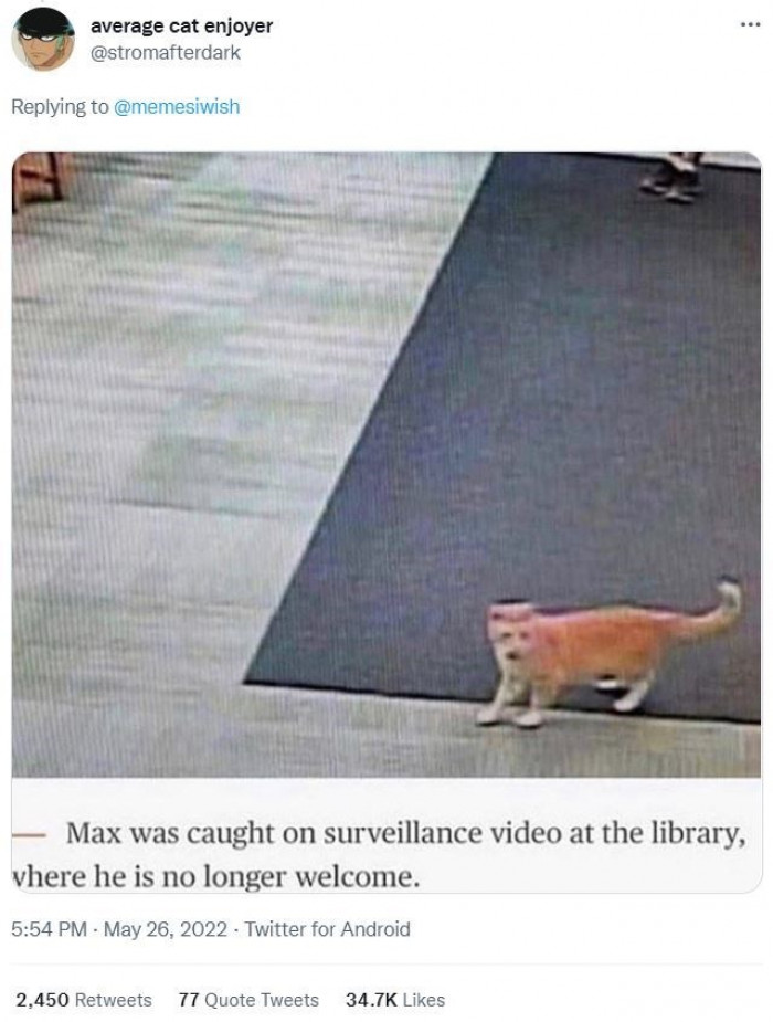 We all love Max. And we don't appreciate the hoomans shooing him away from the library.