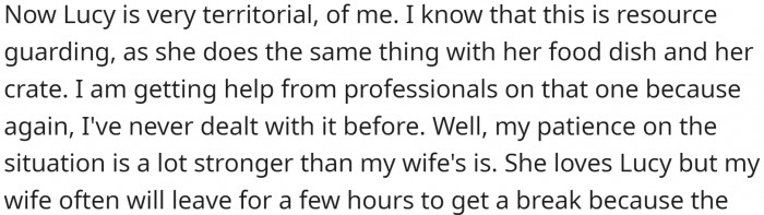 Lucy, the dog, is very possessive of OP and whines whenever he leaves the room