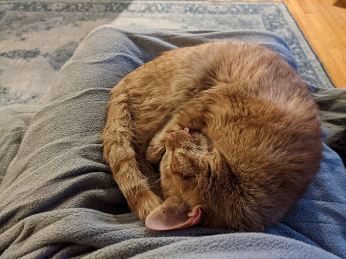 He was so young and had a broken arm