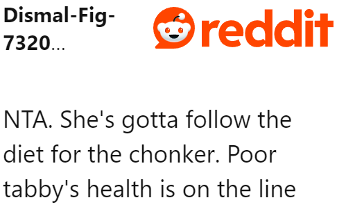 The mother-in-law doesn't even realize that she's putting her cat's life at risk with those extra feedings.