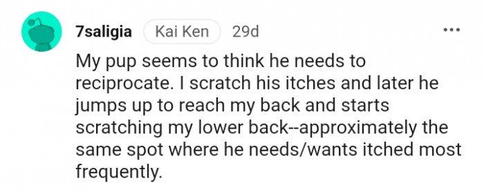 He jumps up to reach my back