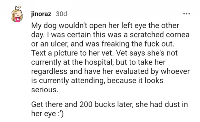 Spent money to find out my dog had dust in her eyes