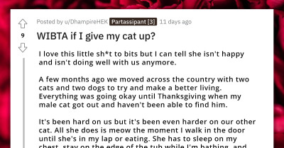 Redditor Wants To Give Away Their Cat For Being Too Clingy