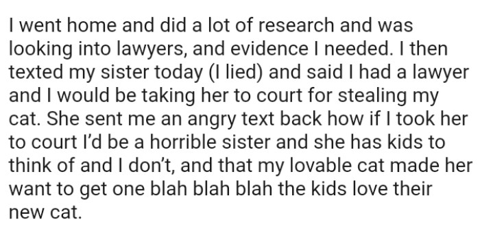 She sent the OP an angry text back, saying that if she took her to court, she'd be a horrible sister