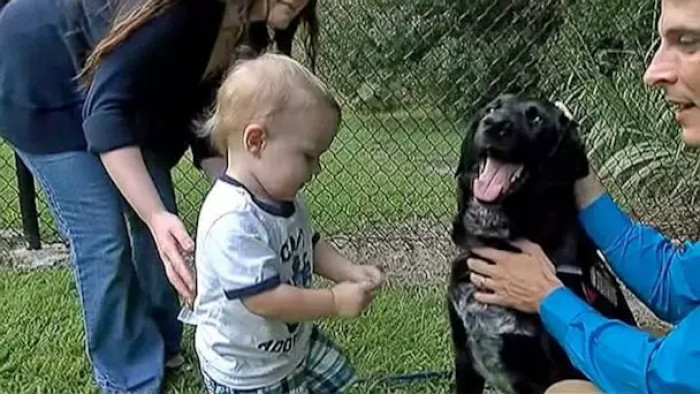 Benjamin and Hope Jordan hired a nanny to take care of their infant Finn