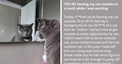 Man Who Left His Cat Outside On A Leash Got Himself Into Trouble When His Cat Got Into A Fight With Its Doppelganger