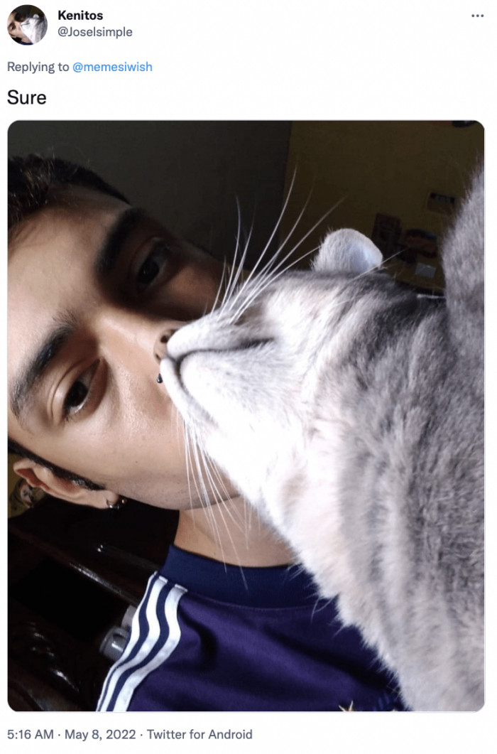 12. Sure, this one definitely counts, and it's pretty cute too