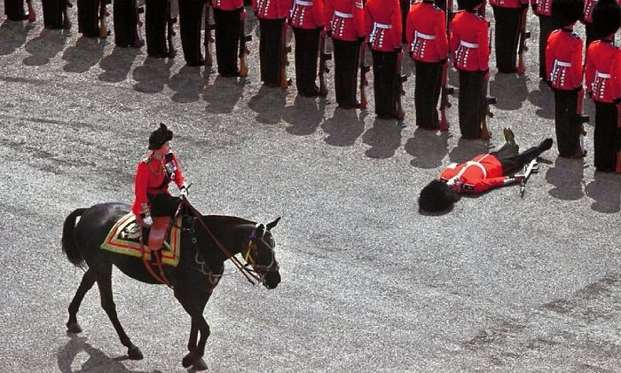 A reminder that even the Queen’s Guard can’t outstand the heat