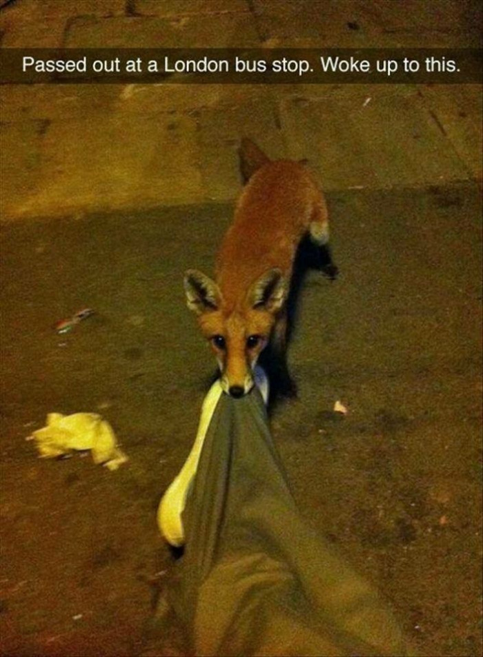 4. Hey dude, get up... Go find someplace safer to sleep, okay?