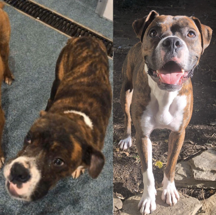 15. "Before Bojack and I found each other and after!"