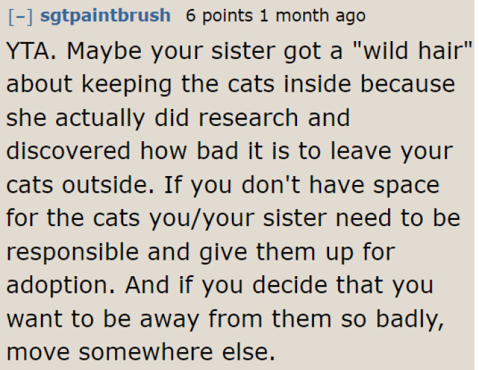 The OP's sister might have found out the proper way of caring for cats, as guessed by this user.