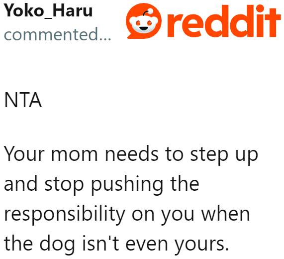 The dog was never the OP's responsibility to begin with. It's all on her mom, so she shouldn't feel bad.
