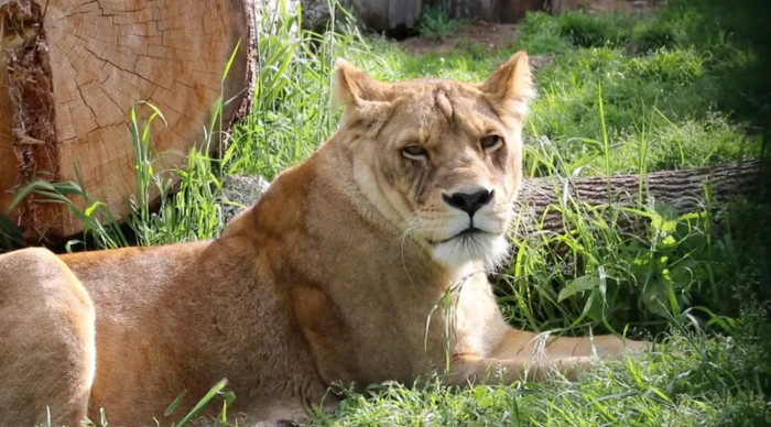 The moment of their freedom has been delayed