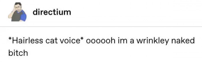 22. Have you heard the sound of a hairless cat?