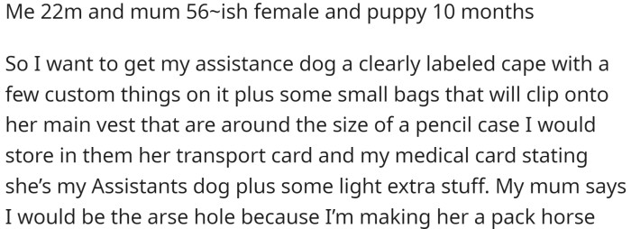 OP is considering getting his 10-month-old puppy, who is a certified assistance dog, a clearly labeled cape and small bags that can be attached to her main vest