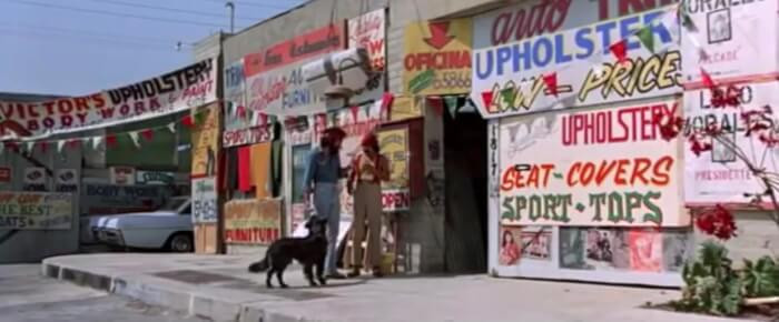 6. In the 1978 movie ‘Cheech & Chong’s Up in Smoke,’ the scene in which Chong’s burrito gets eaten by a dog while they are in Tijuana was not planned and was not in the original script