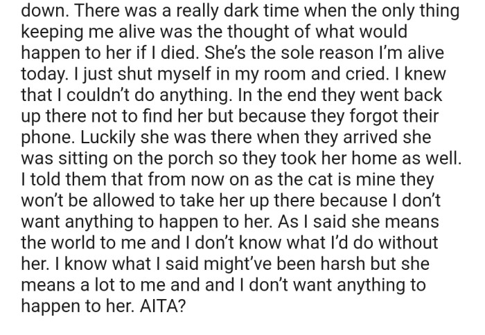Her grandparents later went back up the hill where they had lost the kitten to retrieve their phones. Luckily, they saw the cat waiting on the porch of their second home in the hills. After bringing the kitten back to OP, she decided to place a ban on her grandparents, never to take the cat up there again.