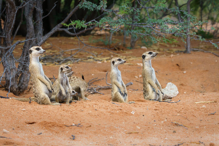 "Alright, Everyone, Look Busy!"