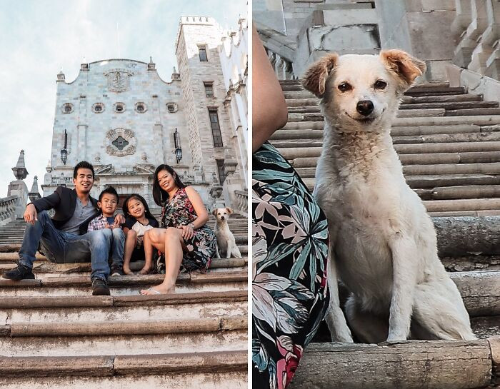 17. The family posed for a picture in Guanajuato, and a stray puppy made it unforgettable