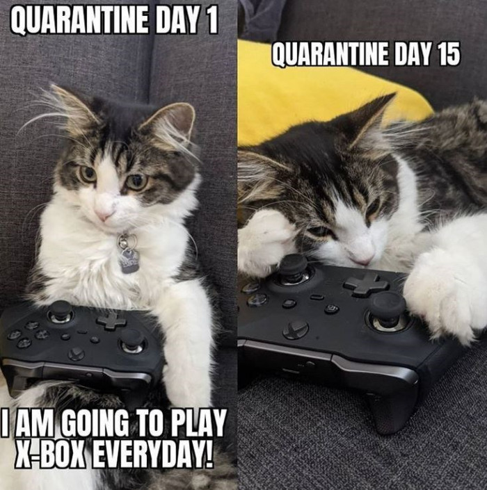 23. Everything got old quickly.