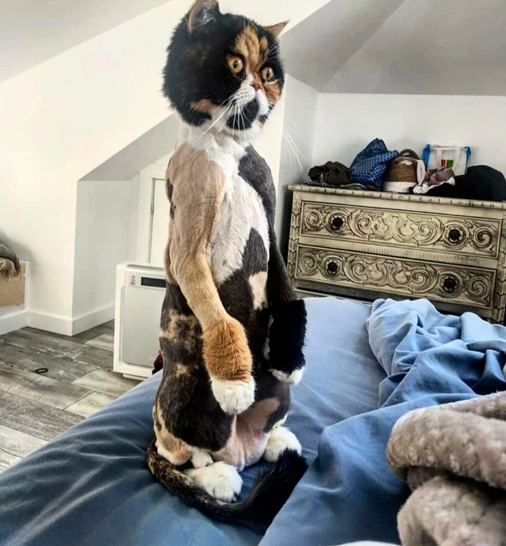 1. “She stands up straight beside me and waits for me to wake up.”