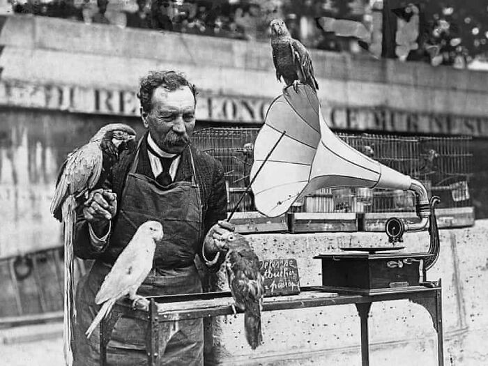 "A parrot seller teaches his parrots to talk by playing them gramophone records, 1930s."