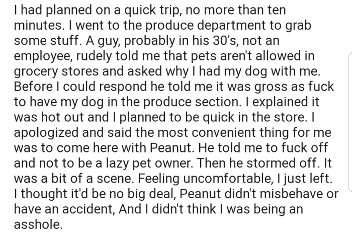 OP went with Peanut to the produce section to grab some items. There, she was approached by another shopper who scolded her for bringing a dog into the store.
