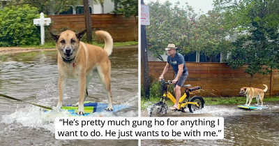 Skilled Dog Is Spotted Having A Great Time With His Owner While Surfing The Flooded Neighborhood