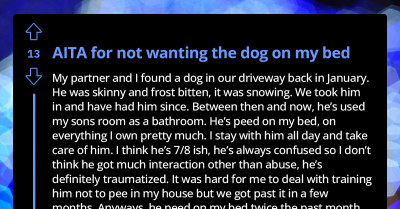 Redditor Doesn't Want Big Rescue Dog On Her Bed Because He Pees On It, Husband Says She is Wrong