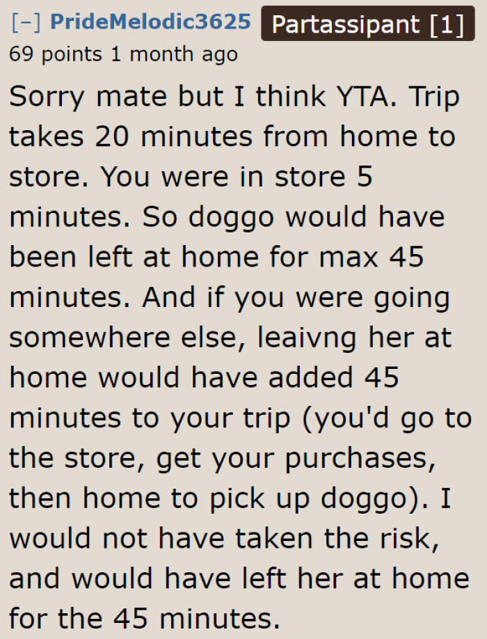 The community still thinks the OP is the a-hole for traveling with their dog for 45 minutes. It should've just been left at home.