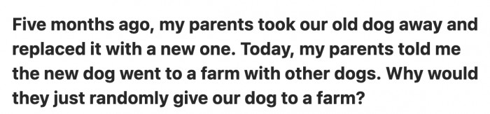 This OP went through the same predicament but with the added twist of their parents replacing their old dog with a new one, later claiming the dog actually lives on a farm with other dogs.