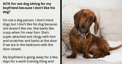 Redditor's BF Insists She Pet Sits His Dog That's Aggressive to Her