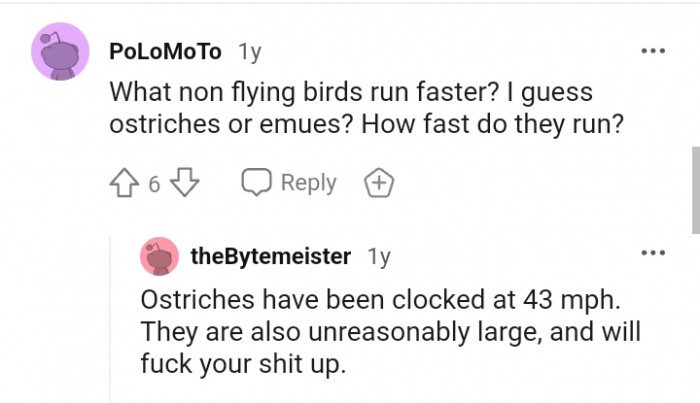 This Redditor wants to know how fast non flying birds run