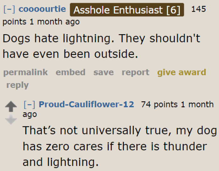 Some dogs hate lightning; others don't mind it. Still, it's always best to prioritize her and the dogs' safety.