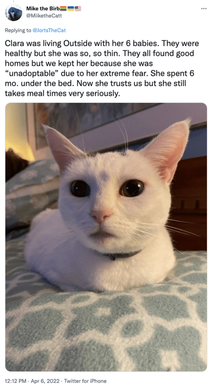 It really takes a lot of patience and a lot more hope.