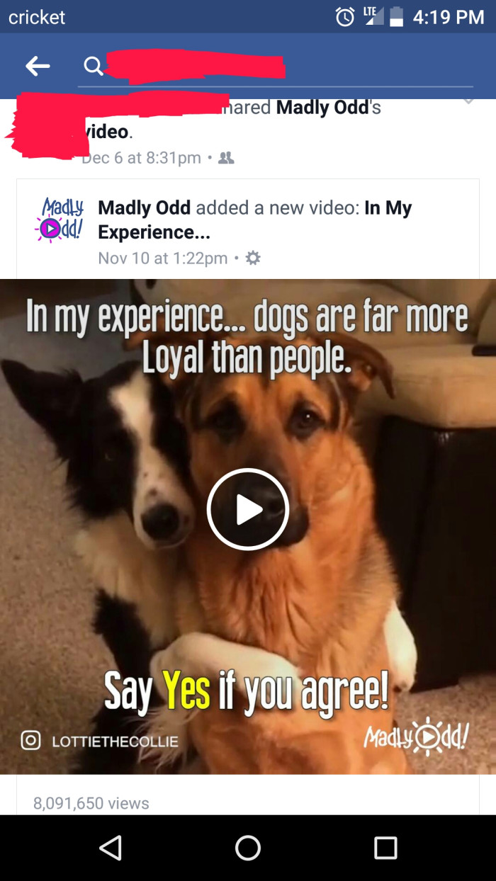 MIL shared this post on Facebook two days after her dog attacked her defenseless 9-month-old granddaughter.