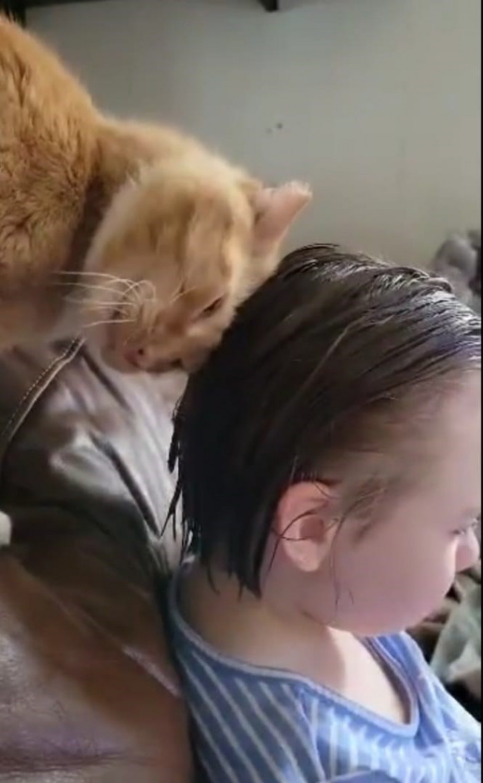 8. "My daughter's cat is completely obsessed with my granddaughter's hair after her bath. He is also obsessed with bleach."
