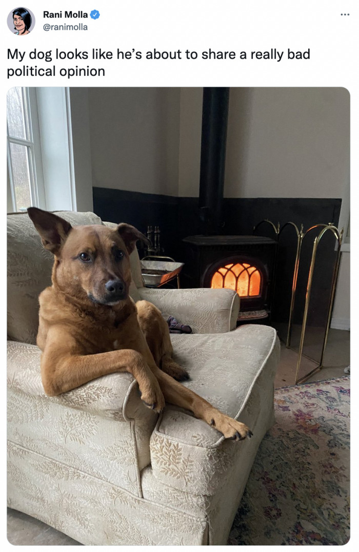 18. He looks like someone who would start a questionable podcast