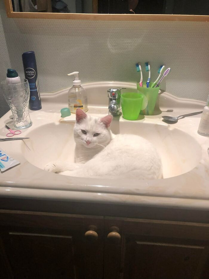 "The sink is mine"