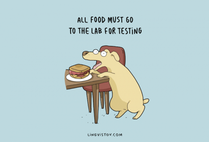 3. "All food must go to the lab for testing."