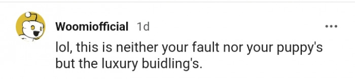 30. Who are we to blame in this case?