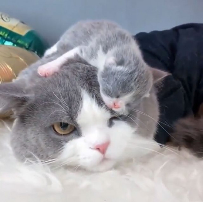 10. "Get Off My Head"