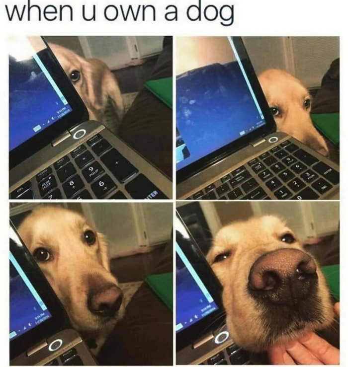 14. Do you really, really have to work?