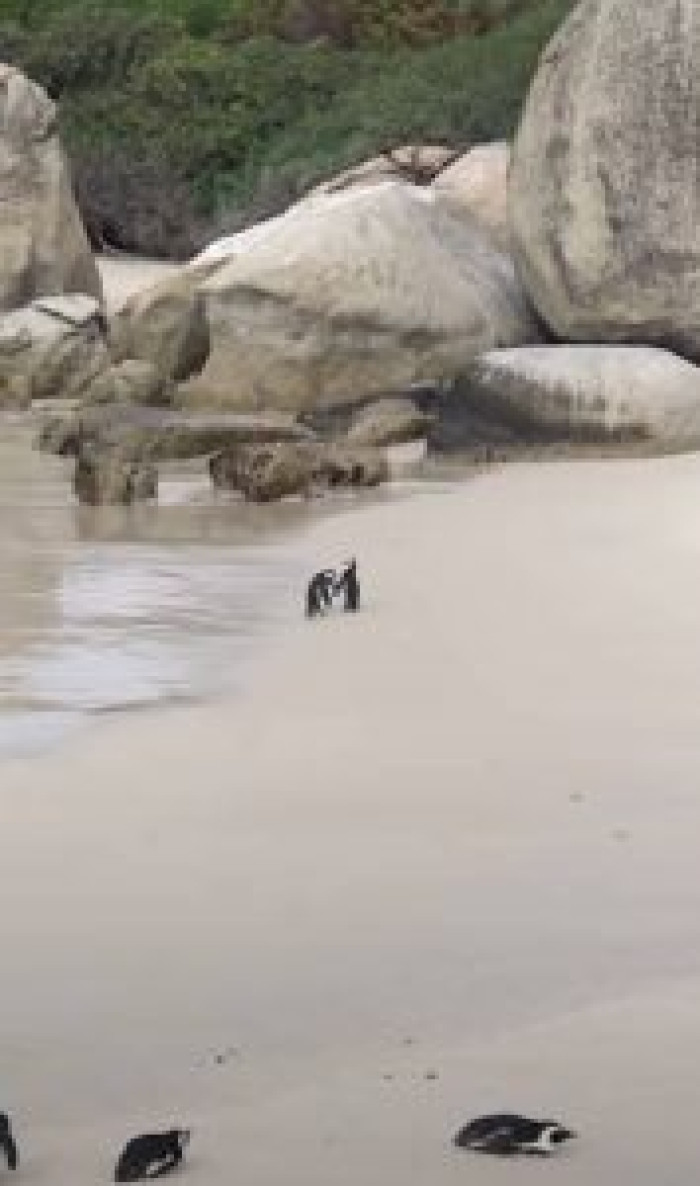 They were even holding hands!